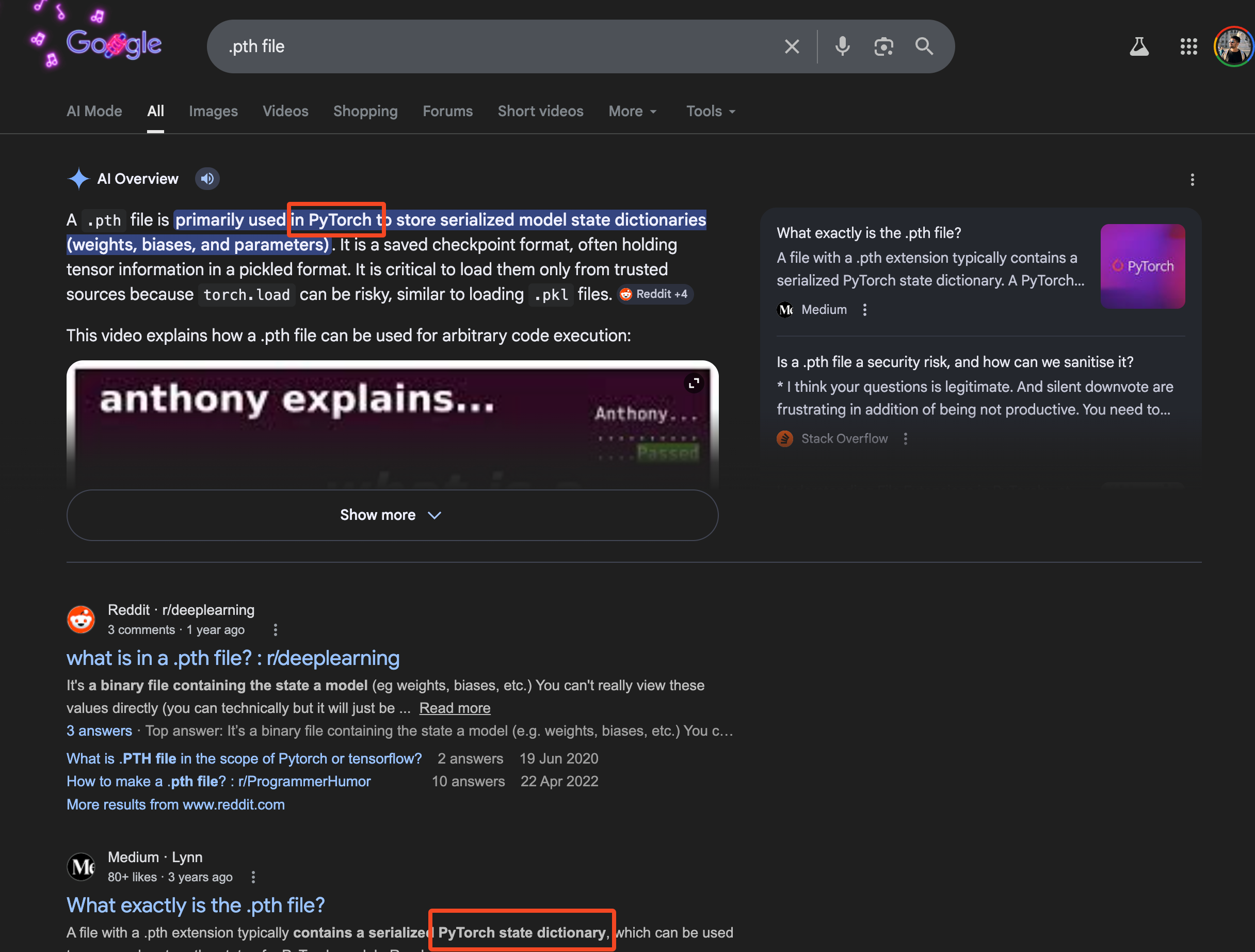 Python PTH File Google Search Example